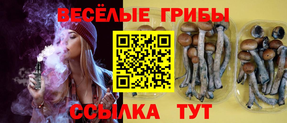 Псилоцибиновые грибы мицелий  Вход с VPN  Елабуга 